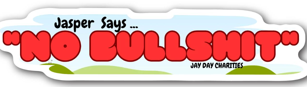 No BS Sticker